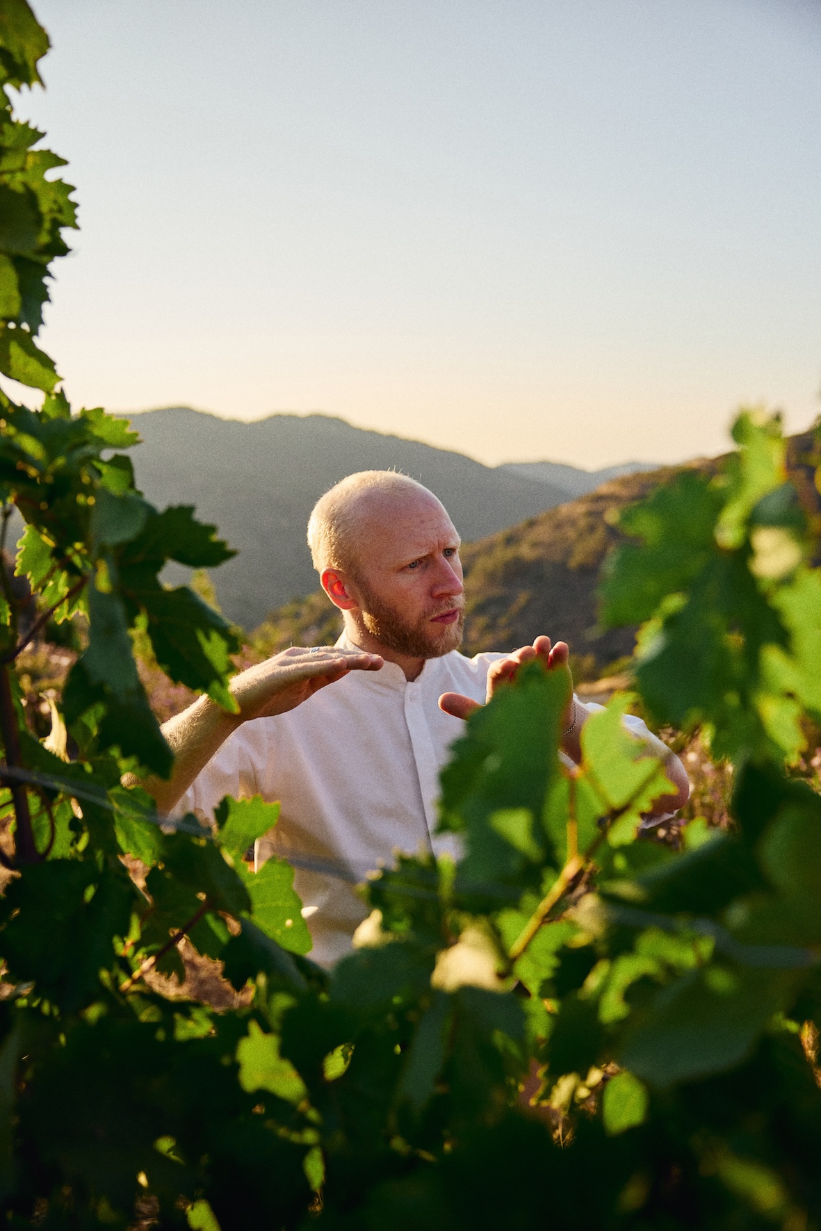 A man with a shaven head and beard stands outdoors among green grapevines, gesturing with his hands. Mountainous hills are visible in the background under a clear sky at sunset.